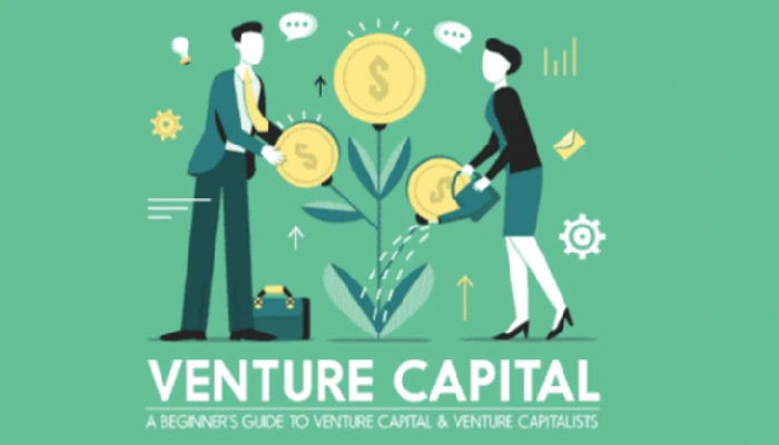 Brand Investment